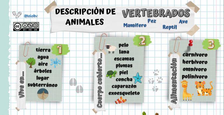 Base de orientación para la descripción de animales.