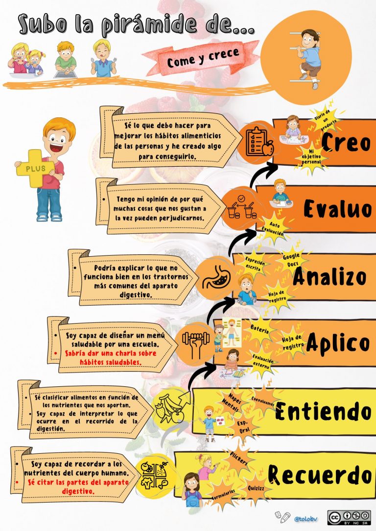 Proyecto de nutrición.