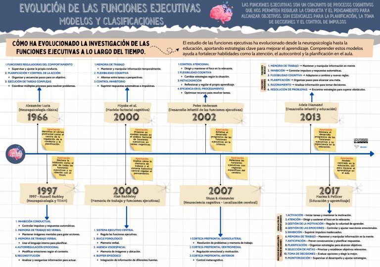 La investigación de las funciones ejecutivas.