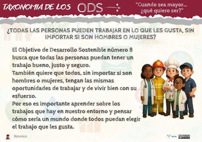 Bloom y el ODS 8: soñar trabajos con sentido