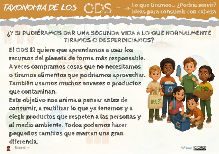 ODS 12 en primaria: consumir con cabeza