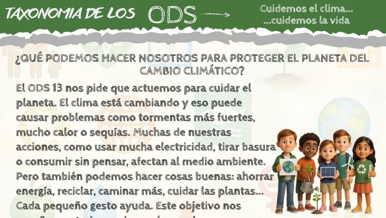 Bloom y el ODS 13: pensar, actuar y cuidar el planeta