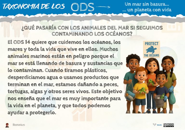 Bloom y el ODS 14: cuidar el mar desde el aula