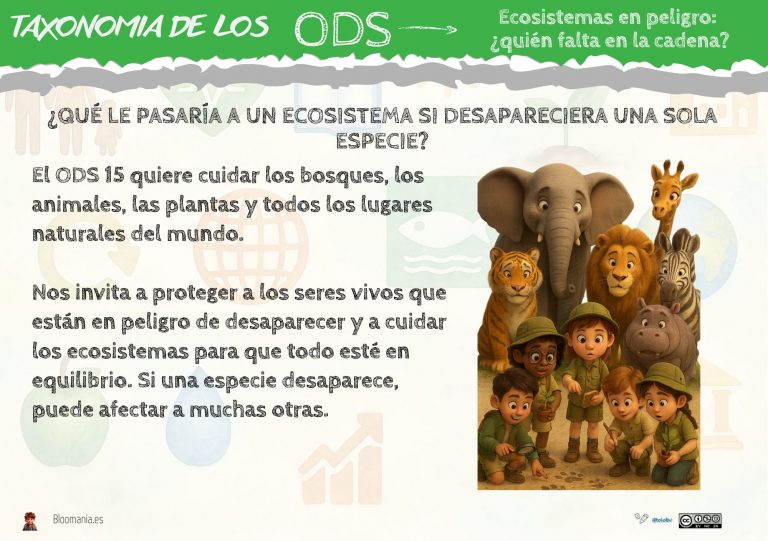 Bloom y el ODS 15: proteger los ecosistemas.