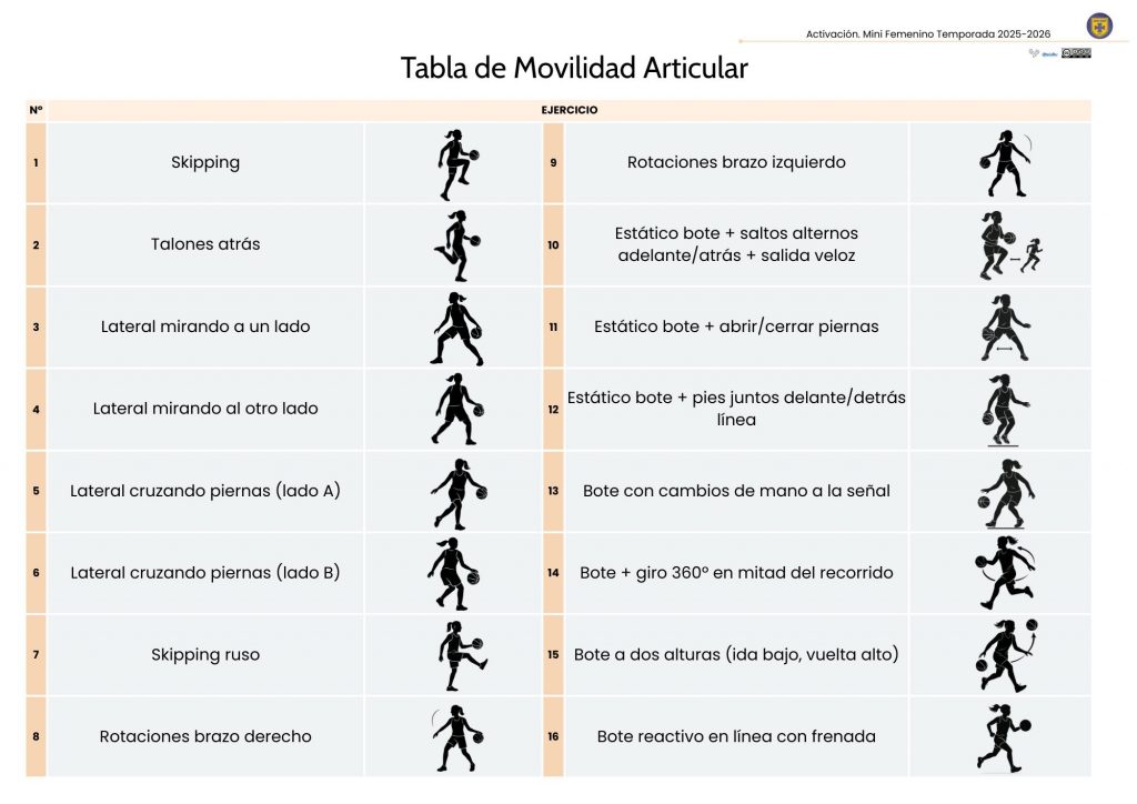 movilidad articular